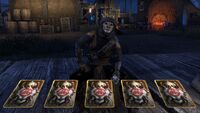 Paw-mancer